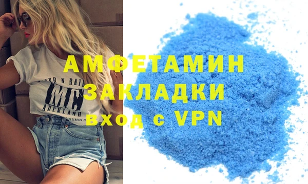 гашик Ельня