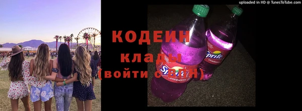 бошки Елабуга