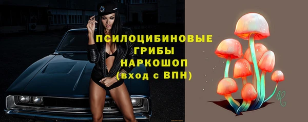 первитин Дмитров