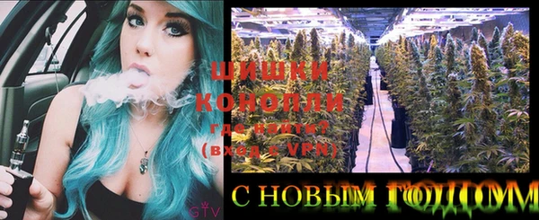 первитин Дмитров